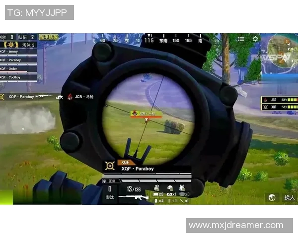 和平精英战术解析:RNG团队协作与配合策略的深度剖析