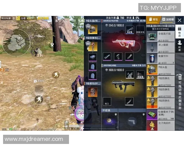 对话刘娜：探索和平精英职业生涯的挑战与成就