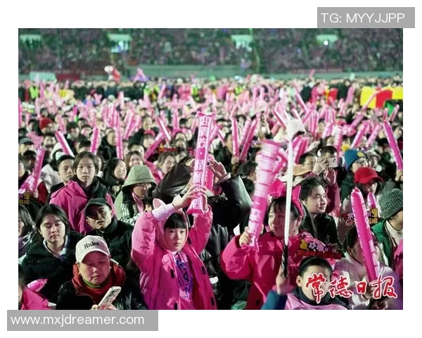 球迷文化的魅力与传承：从激情呐喊到全球社区的建设与发展