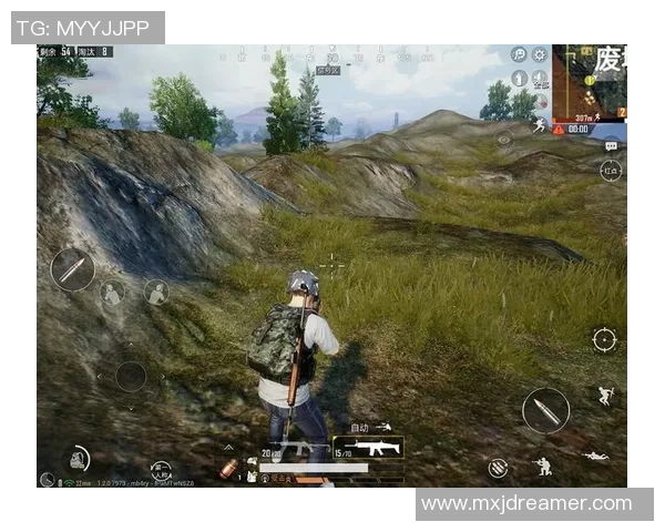 和平精英战场上的拼搏与荣耀：LNG战队的成长历程全景纪实