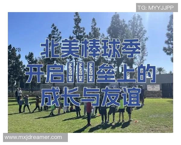 棒球的魅力与传承:从球场上的竞技到文化的全球影响